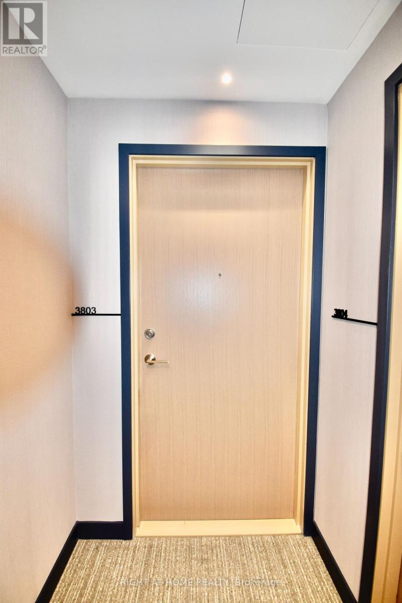 3803 - 395 Square One Drive, Mississauga, Ontario  L5B 0P6 - Photo 3 - W12805440