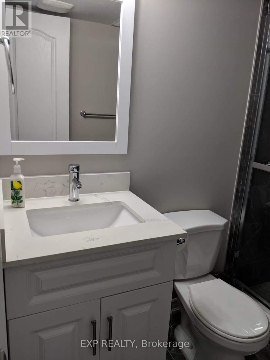 Basement - 15 Kalmia Road, Brampton, Ontario  L6X 5G4 - Photo 13 - W12805708