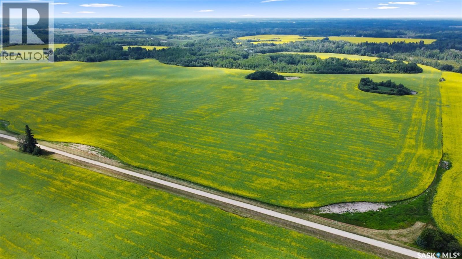 3 Quarters With Yard Site Near Endeavour, Endeavour, Saskatchewan  S0A 0A2 - Photo 9 - SK028922
