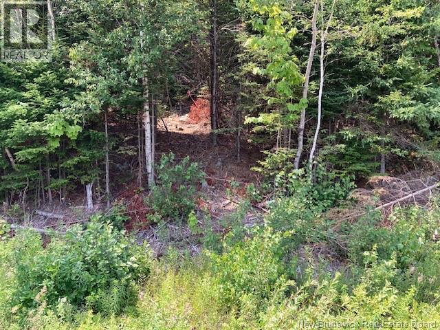 0 Frye Road, Chamcook, New Brunswick