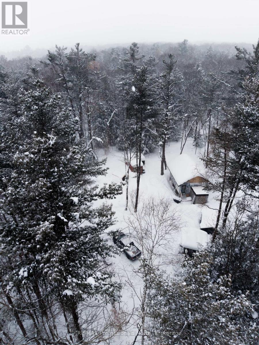 1219 Medora Lake Road, Muskoka Lakes, Ontario  P0C 1A0 - Photo 3 - X12805810