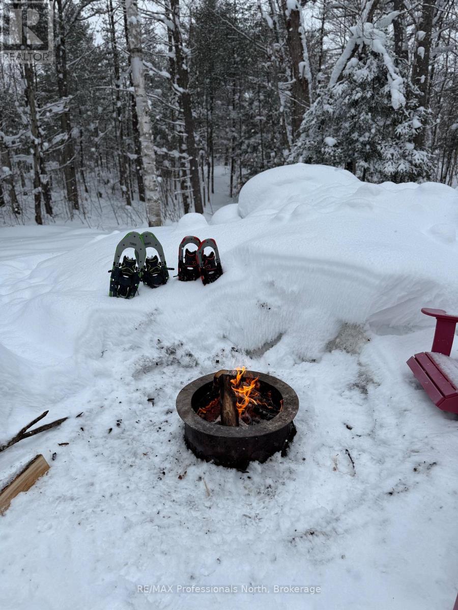 1219 Medora Lake Road, Muskoka Lakes, Ontario  P0C 1A0 - Photo 37 - X12805810