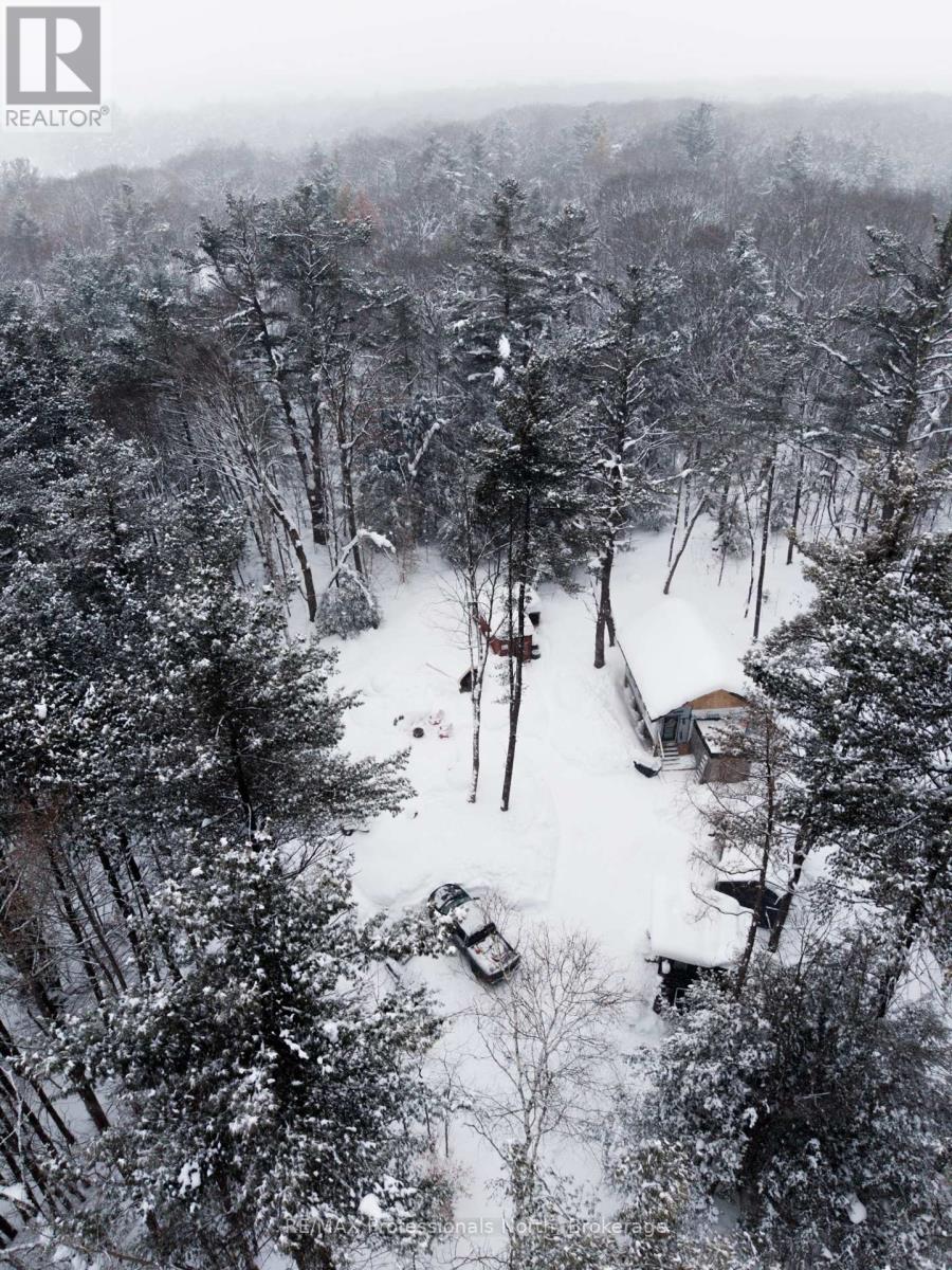 1219 Medora Lake Road, Muskoka Lakes, Ontario  P0C 1A0 - Photo 4 - X12805810