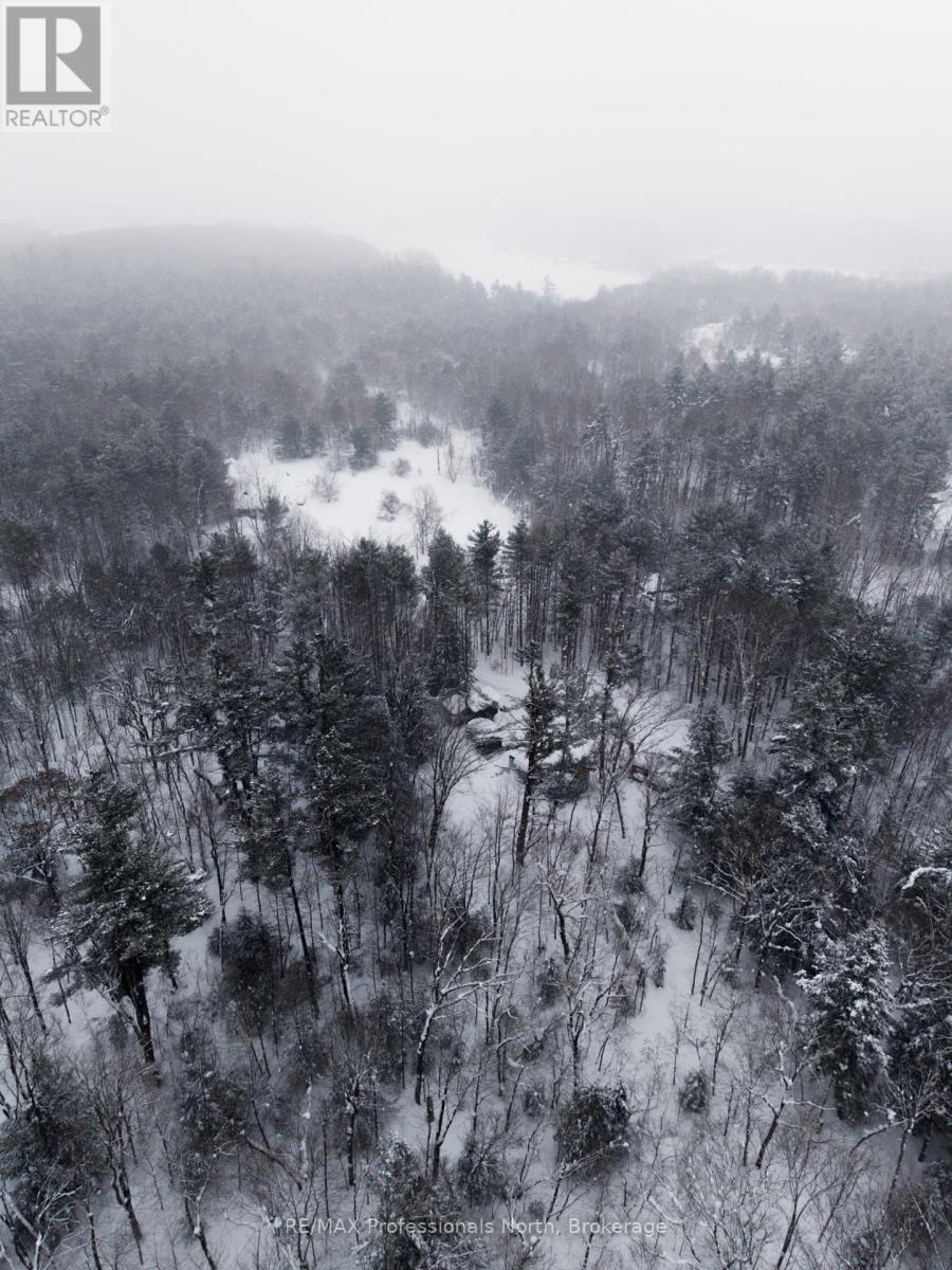 1219 Medora Lake Road, Muskoka Lakes, Ontario  P0C 1A0 - Photo 5 - X12805810