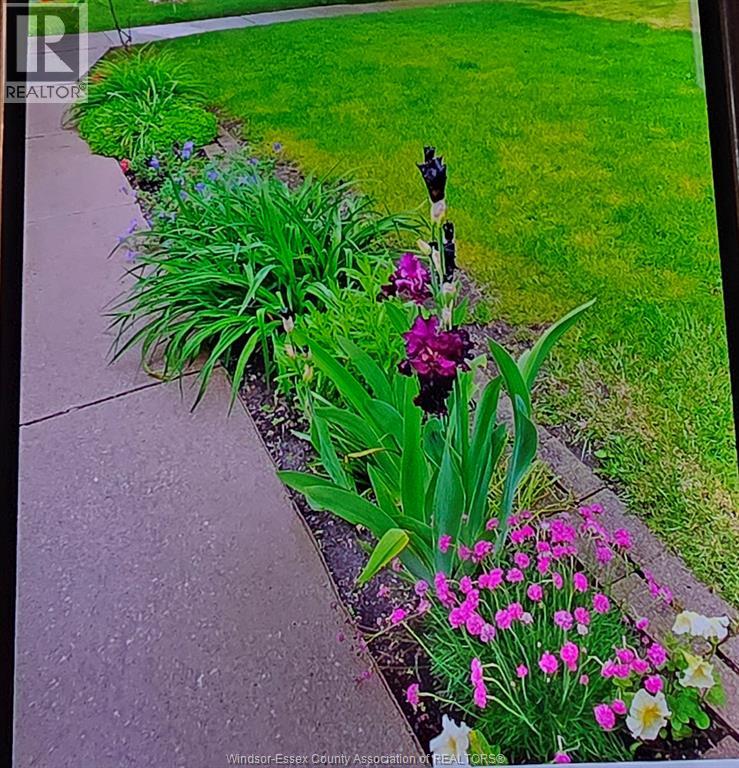 1276 Argyle, Windsor, Ontario  N8Y 3K4 - Photo 18 - 26003611