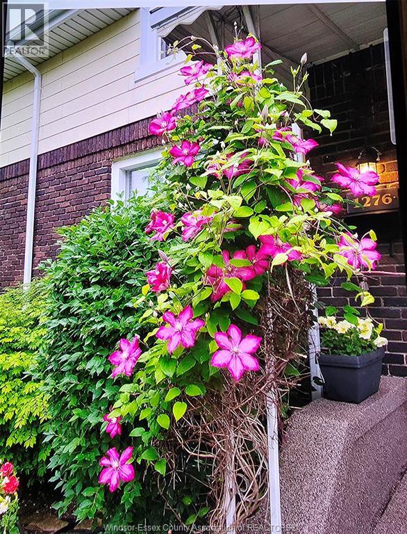 1276 Argyle, Windsor, Ontario  N8Y 3K4 - Photo 17 - 26003611