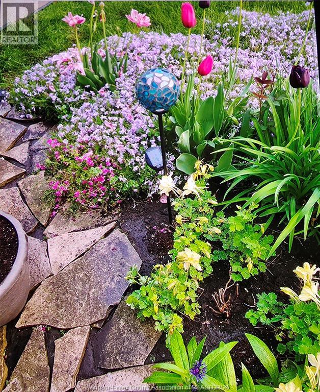 1276 Argyle, Windsor, Ontario  N8Y 3K4 - Photo 19 - 26003611