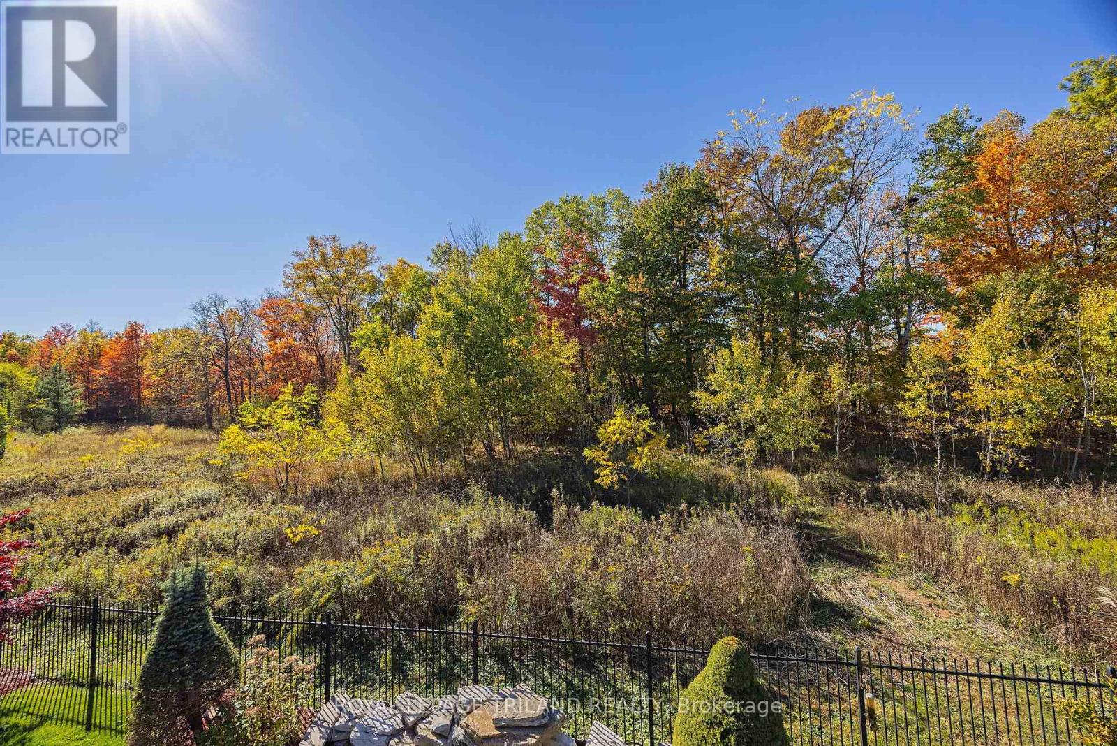 2259 Waterside Terrace, London North, Ontario  N6G 0M1 - Photo 47 - X12805820