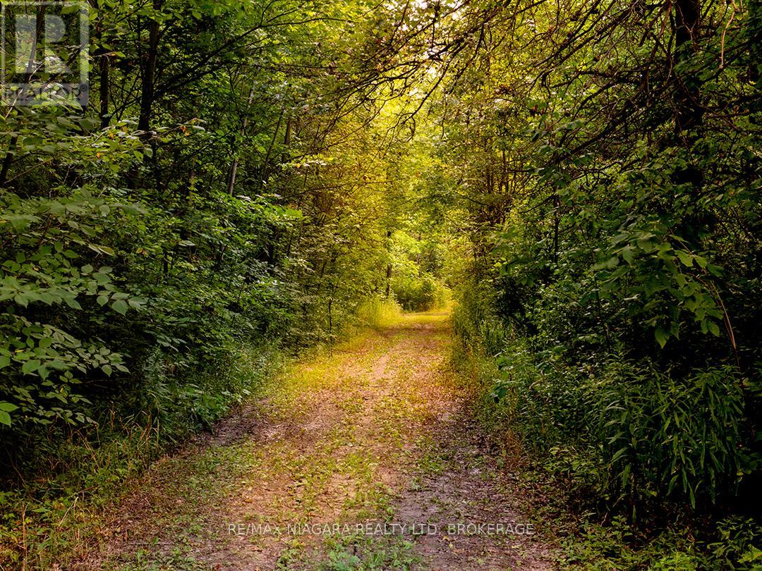 3481 Troup Road, Port Colborne, Ontario  L3K 5V5 - Photo 39 - X12805722