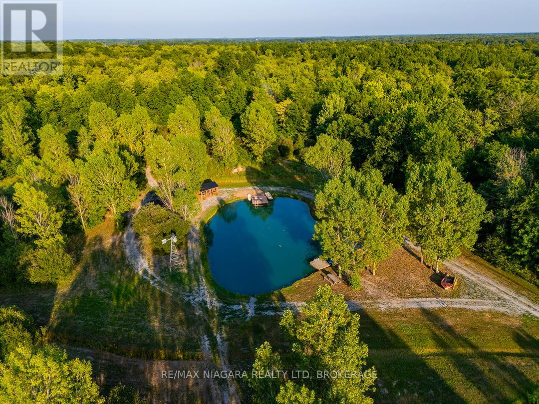 3481 Troup Road, Port Colborne, Ontario  L3K 5V5 - Photo 49 - X12805722