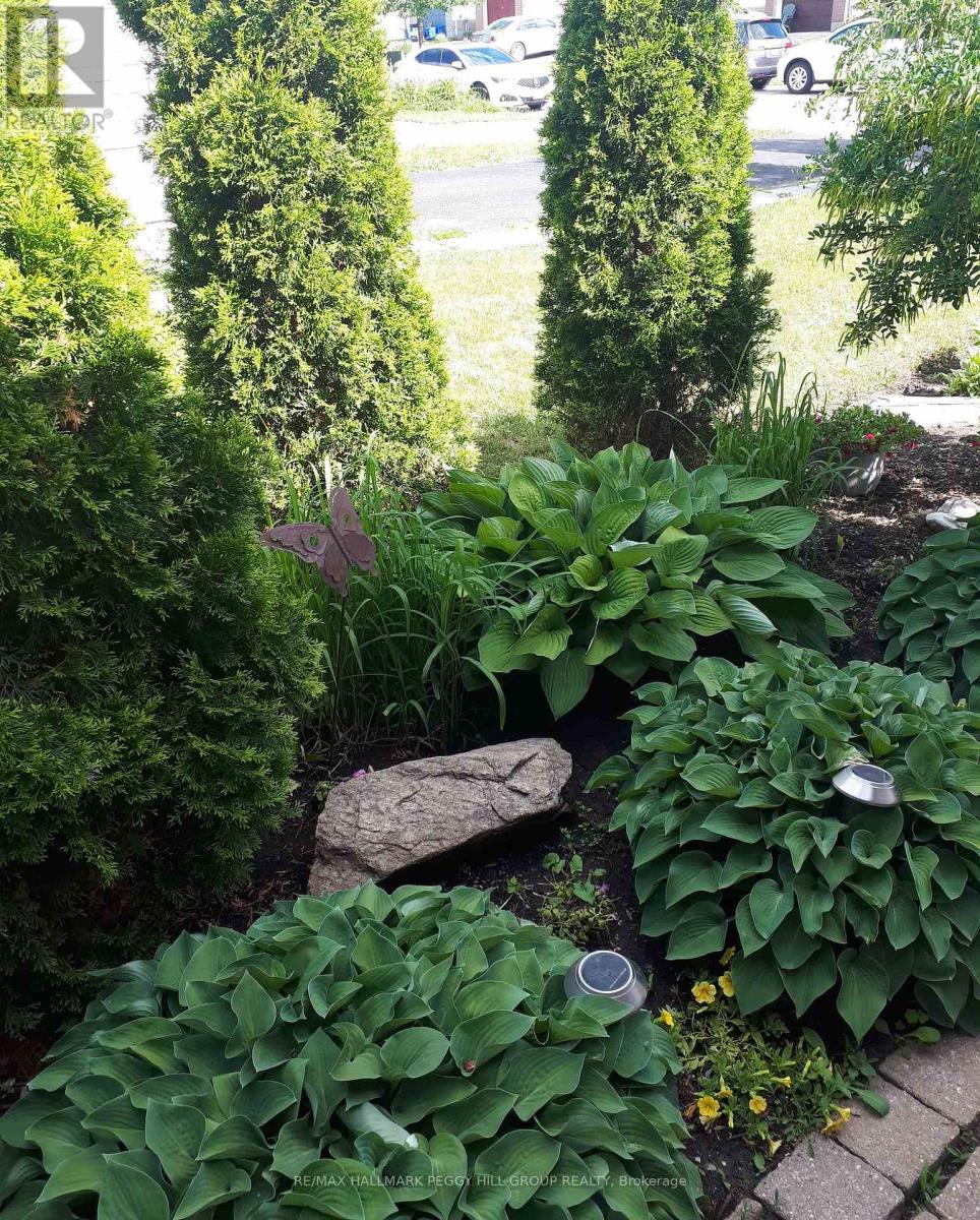 71 Radenhurst Crescent, Barrie, Ontario  L4M 6C5 - Photo 17 - S12805788