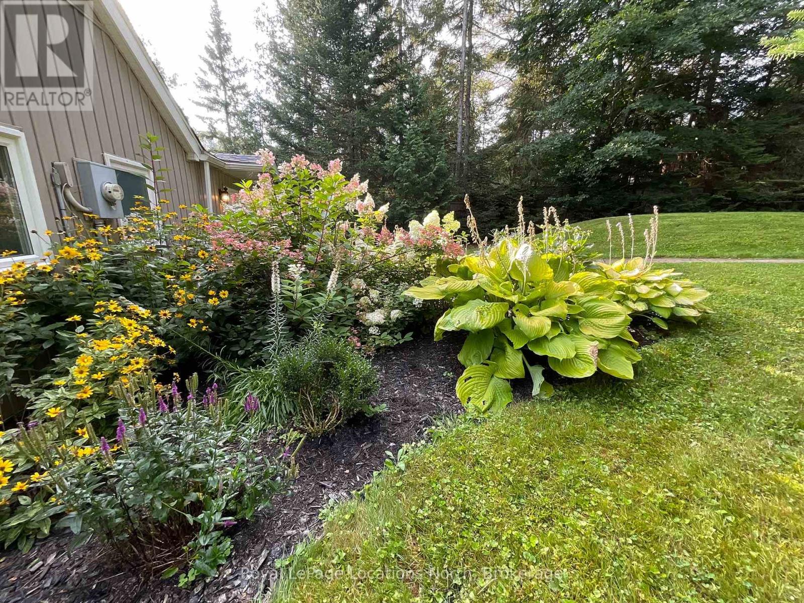 1433 South Horn Lk Road, Ryerson, Ontario  P0A 1C0 - Photo 11 - X12806094