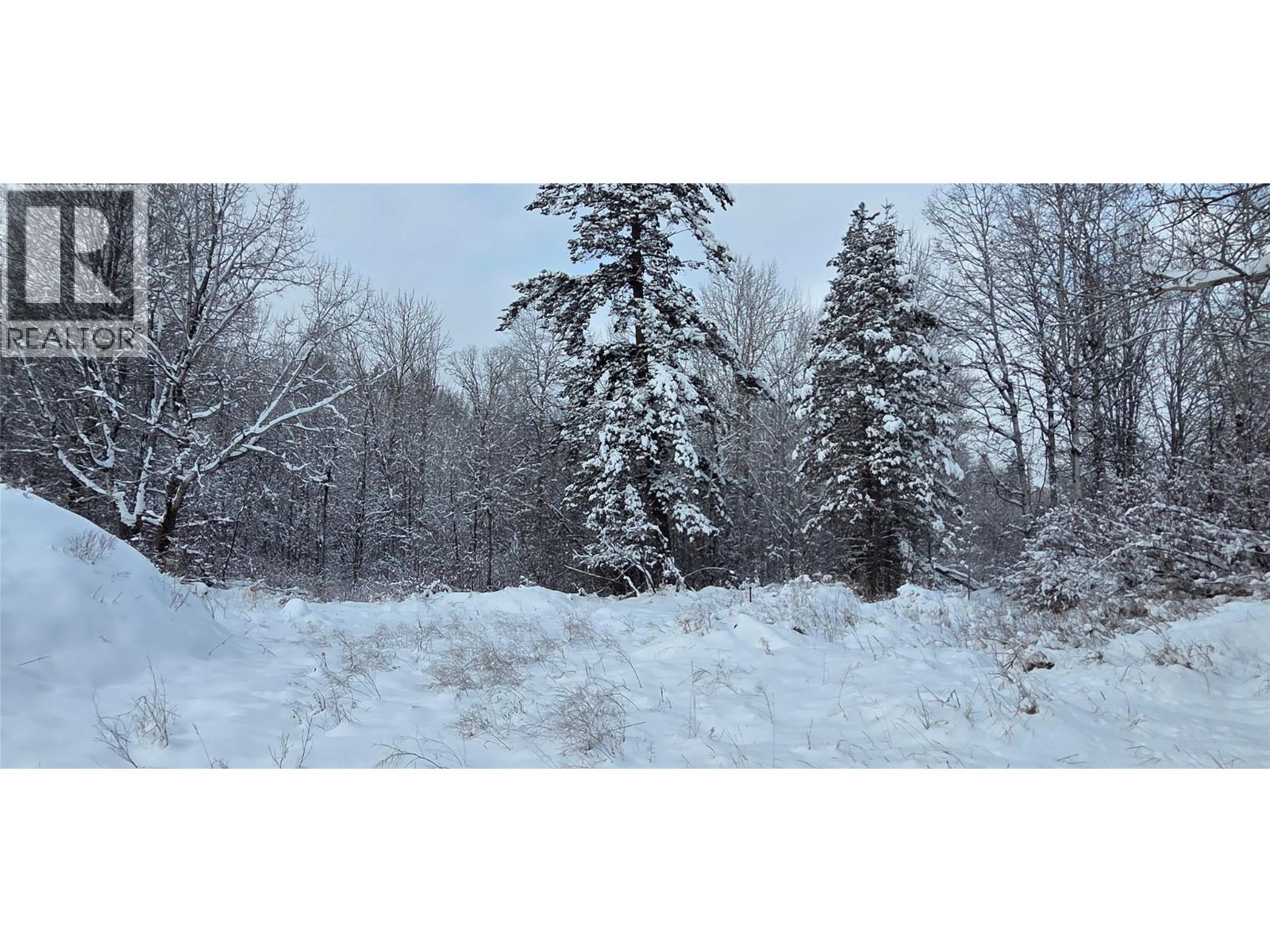 99 304th Avenue, Kimberley, British Columbia  V1A 3G5 - Photo 3 - 10376092