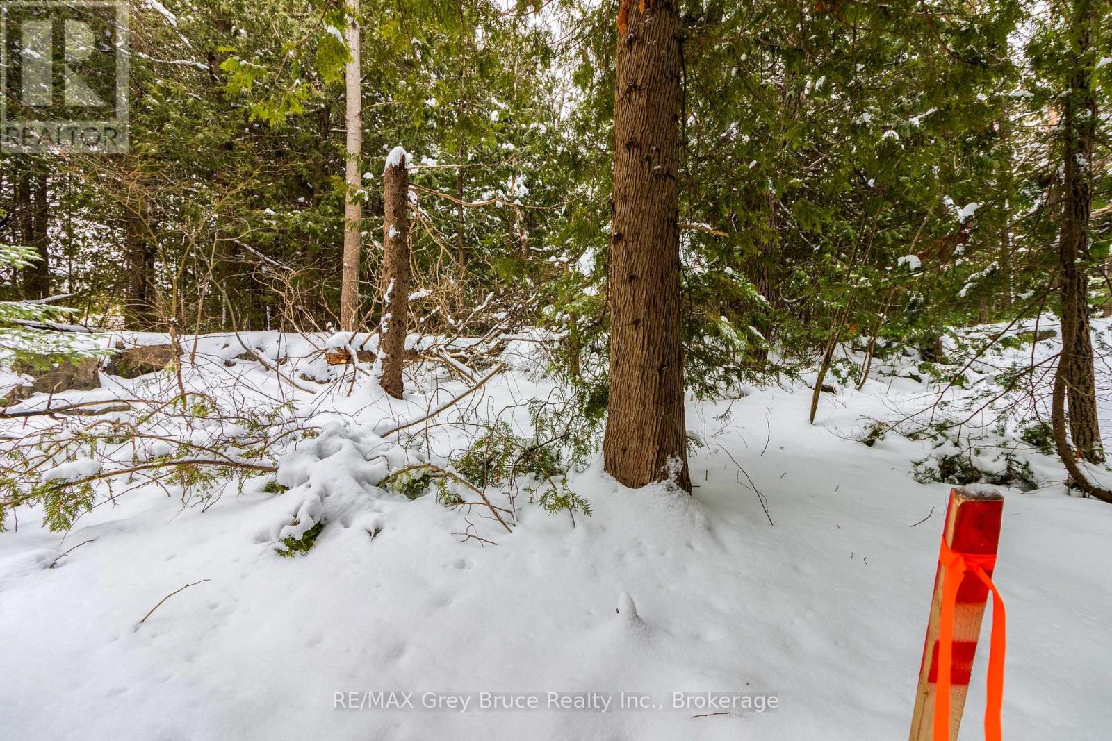 Pt Lt 4 Nicholas Street, Northern Bruce Peninsula, Ontario  N0H 2R0 - Photo 14 - X12806204