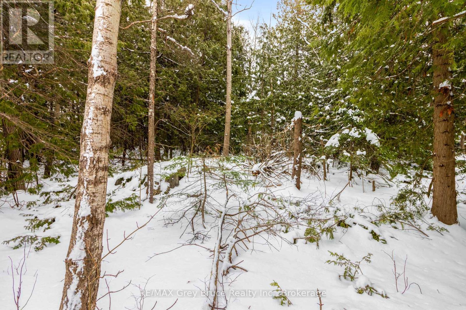 Pt Lt 4 Nicholas Street, Northern Bruce Peninsula, Ontario  N0H 2R0 - Photo 15 - X12806204