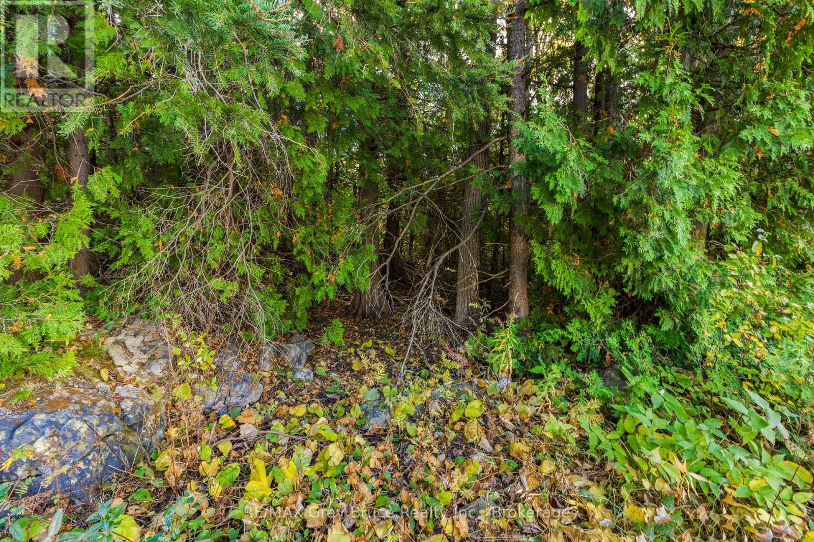 Pt Lt 4 Nicholas Street, Northern Bruce Peninsula, Ontario  N0H 2R0 - Photo 17 - X12806204