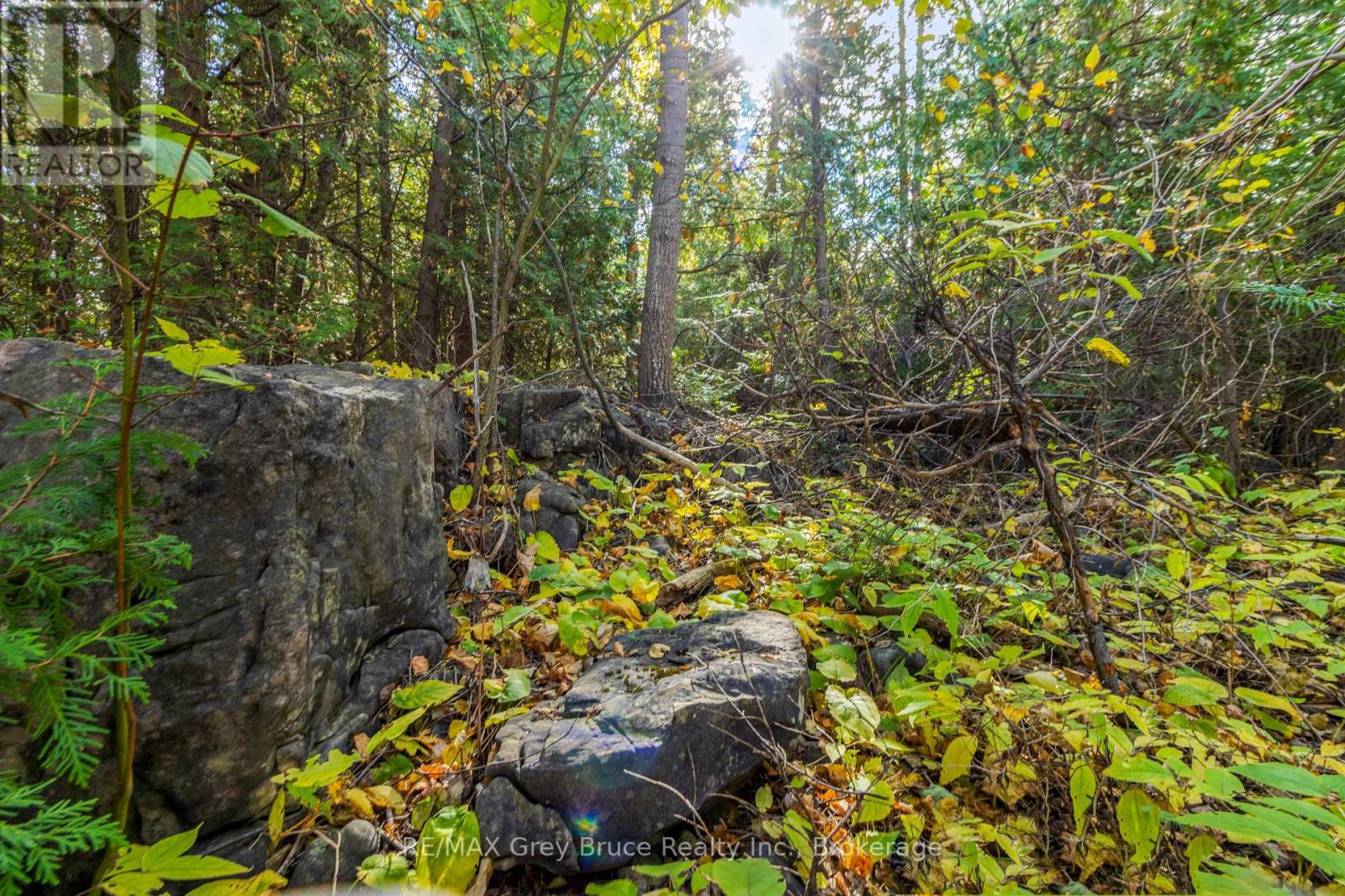 Pt Lt 4 Nicholas Street, Northern Bruce Peninsula, Ontario  N0H 2R0 - Photo 19 - X12806204