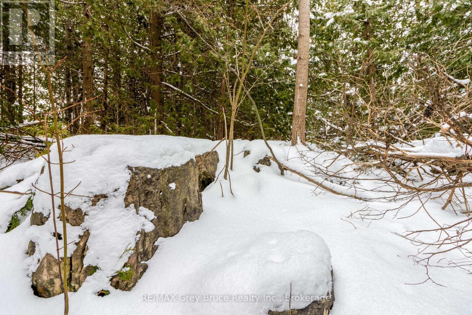 Pt Lt 4 Nicholas Street, Northern Bruce Peninsula, Ontario  N0H 2R0 - Photo 2 - X12806204