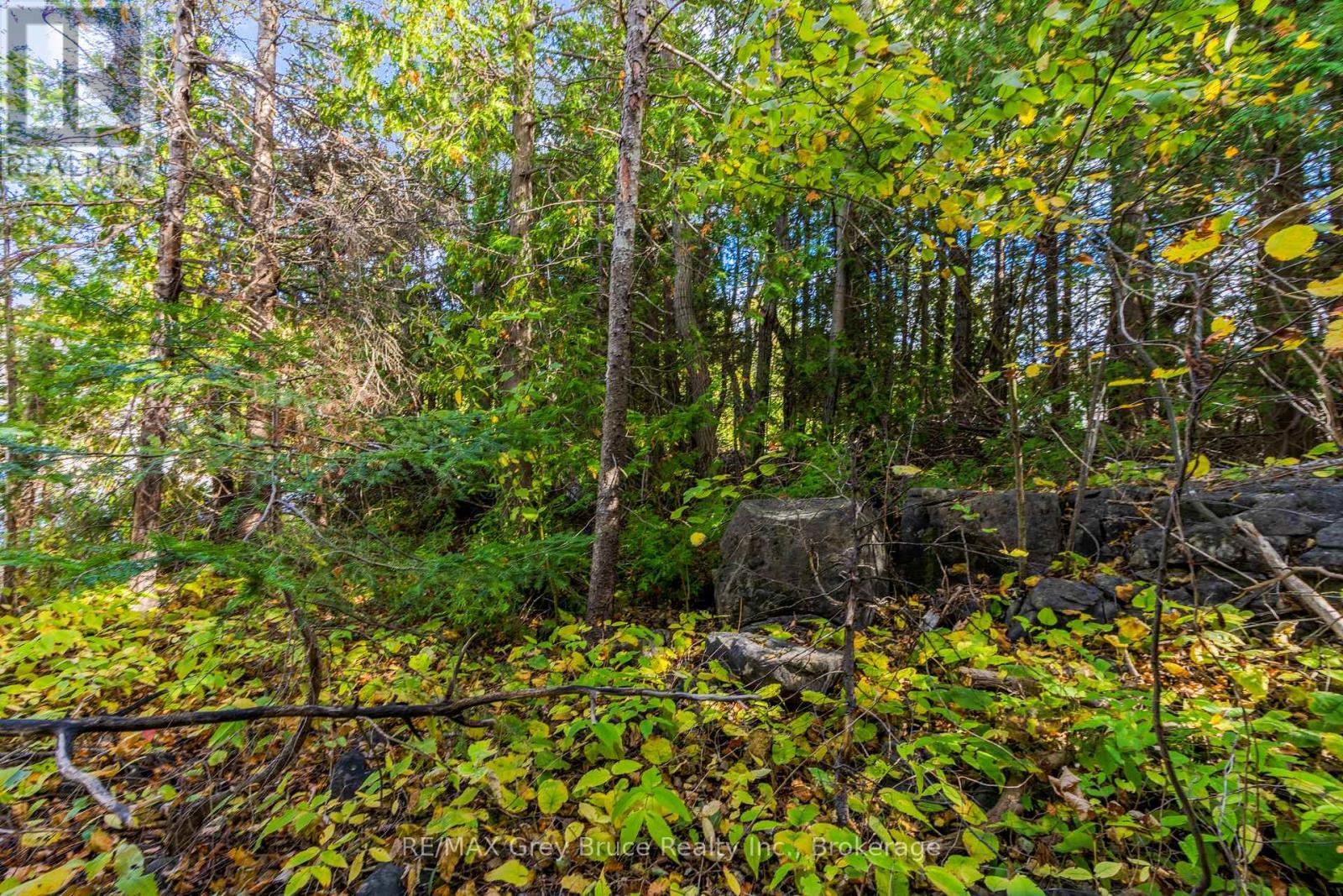 Pt Lt 4 Nicholas Street, Northern Bruce Peninsula, Ontario  N0H 2R0 - Photo 20 - X12806204