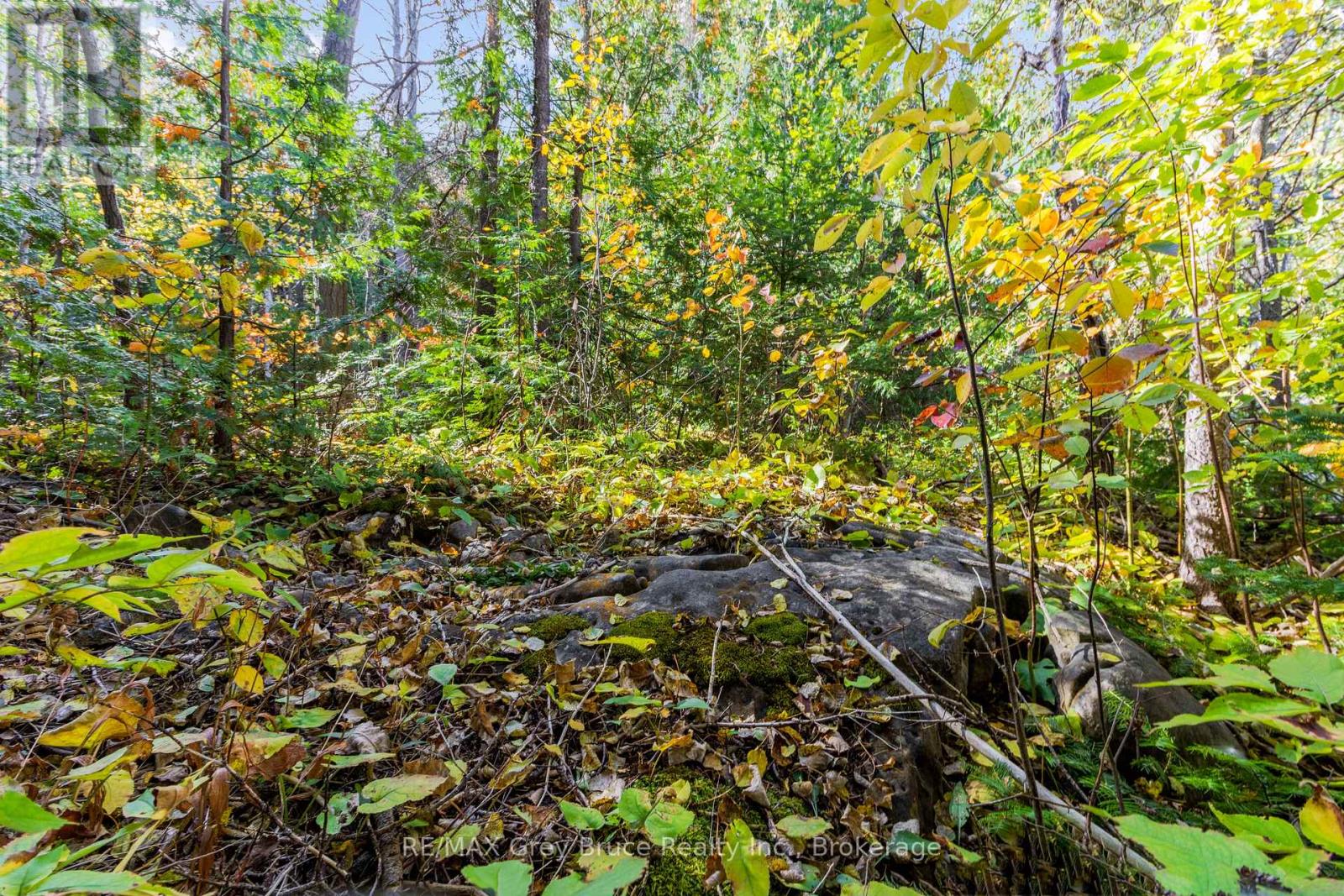 Pt Lt 4 Nicholas Street, Northern Bruce Peninsula, Ontario  N0H 2R0 - Photo 22 - X12806204