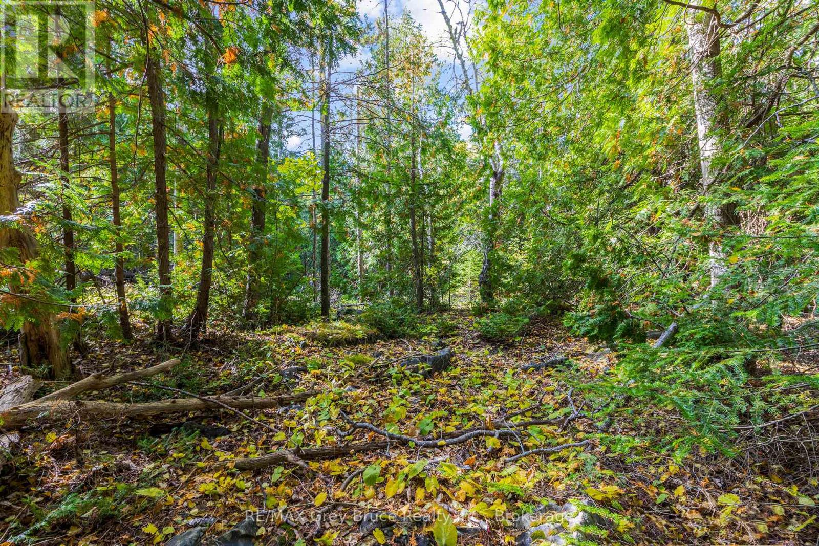 Pt Lt 4 Nicholas Street, Northern Bruce Peninsula, Ontario  N0H 2R0 - Photo 23 - X12806204