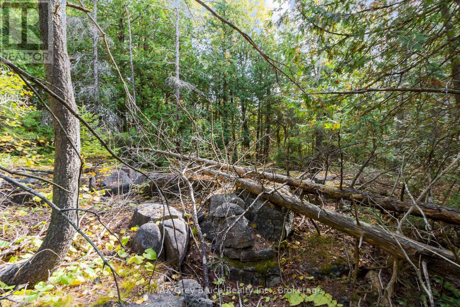 Pt Lt 4 Nicholas Street, Northern Bruce Peninsula, Ontario  N0H 2R0 - Photo 24 - X12806204