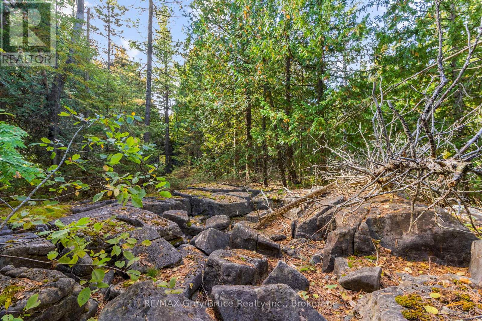 Pt Lt 4 Nicholas Street, Northern Bruce Peninsula, Ontario  N0H 2R0 - Photo 25 - X12806204