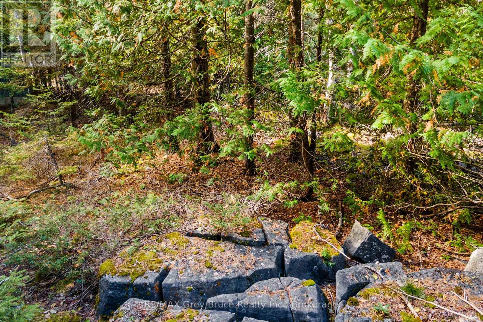 Pt Lt 4 Nicholas Street, Northern Bruce Peninsula, Ontario  N0H 2R0 - Photo 27 - X12806204