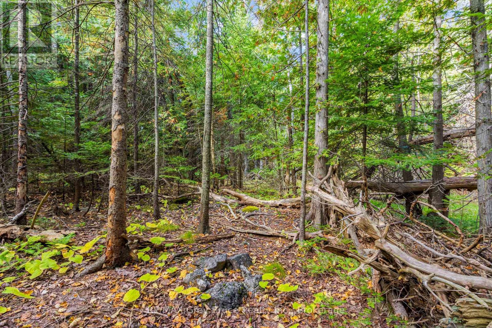 Pt Lt 4 Nicholas Street, Northern Bruce Peninsula, Ontario  N0H 2R0 - Photo 30 - X12806204