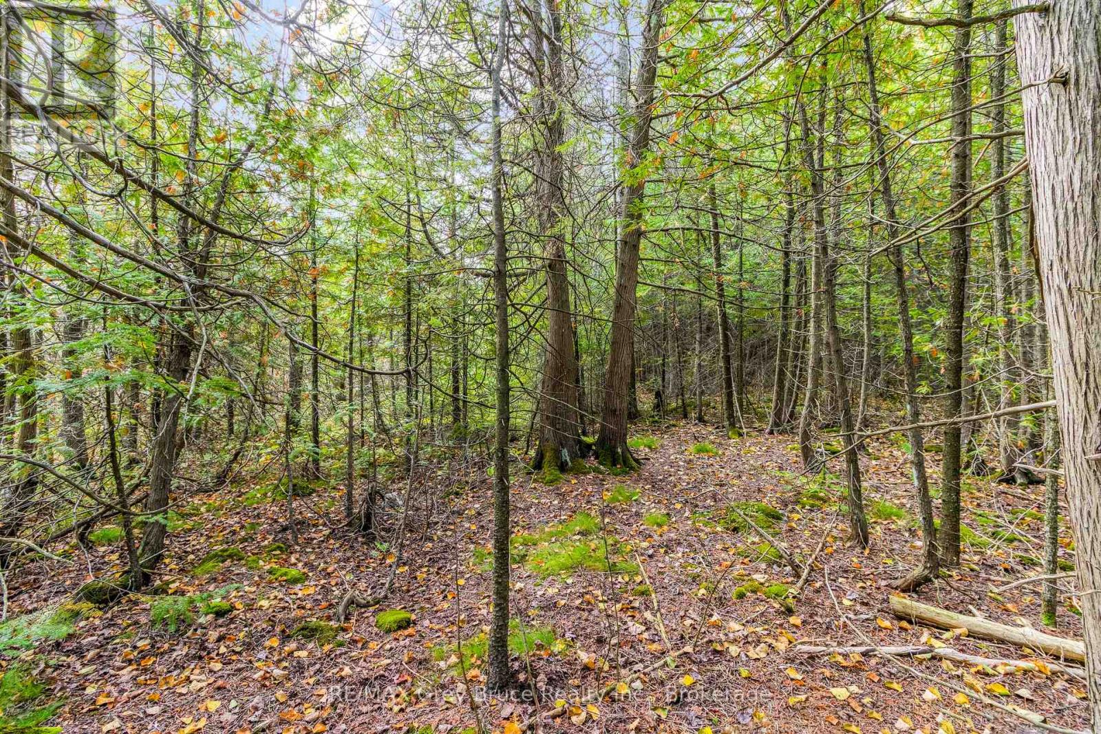 Fm Lt 4 Nicholas Street, Northern Bruce Peninsula, Ontario  N0H 2R0 - Photo 22 - X12806214