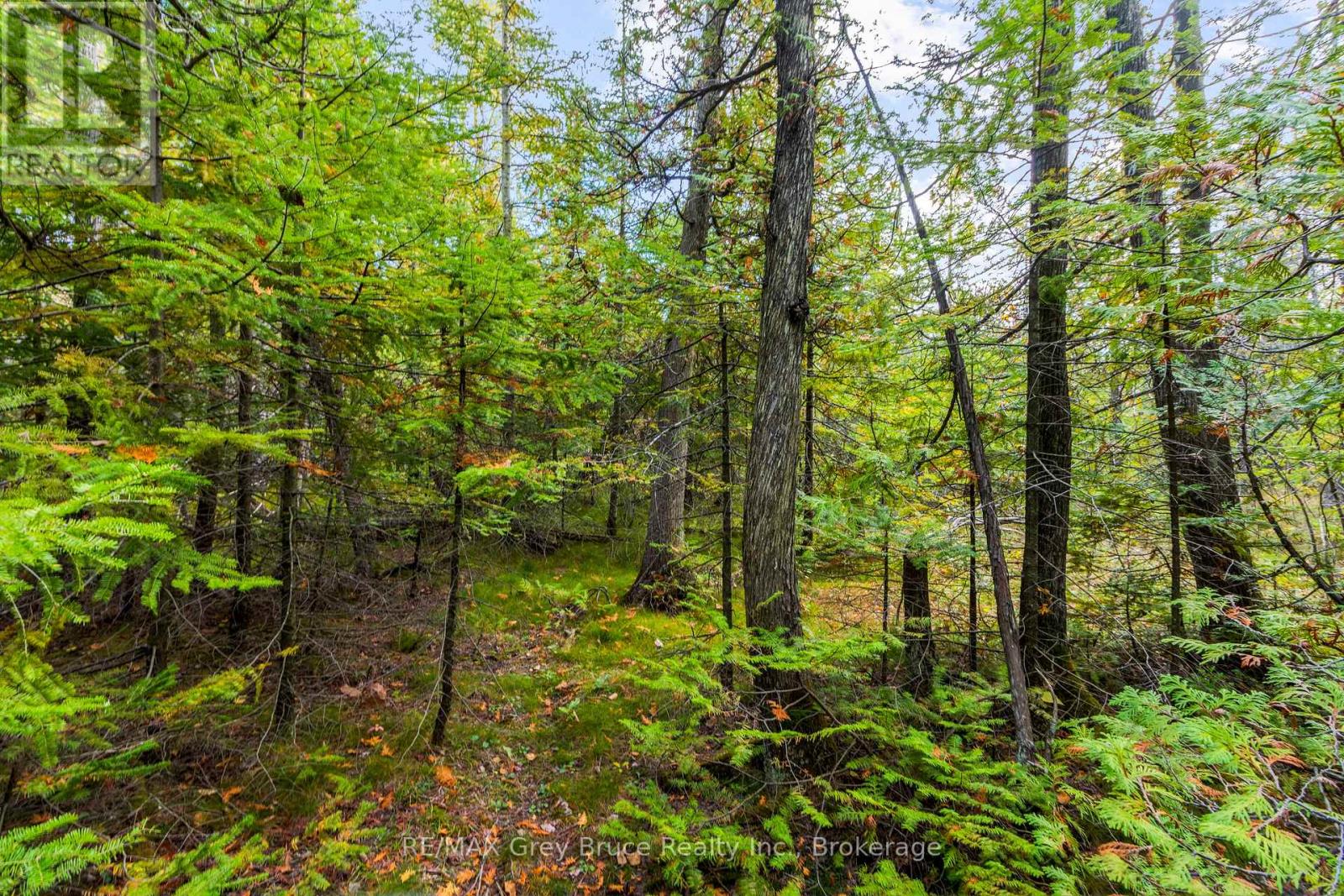 Fm Lt 4 Nicholas Street, Northern Bruce Peninsula, Ontario  N0H 2R0 - Photo 25 - X12806214