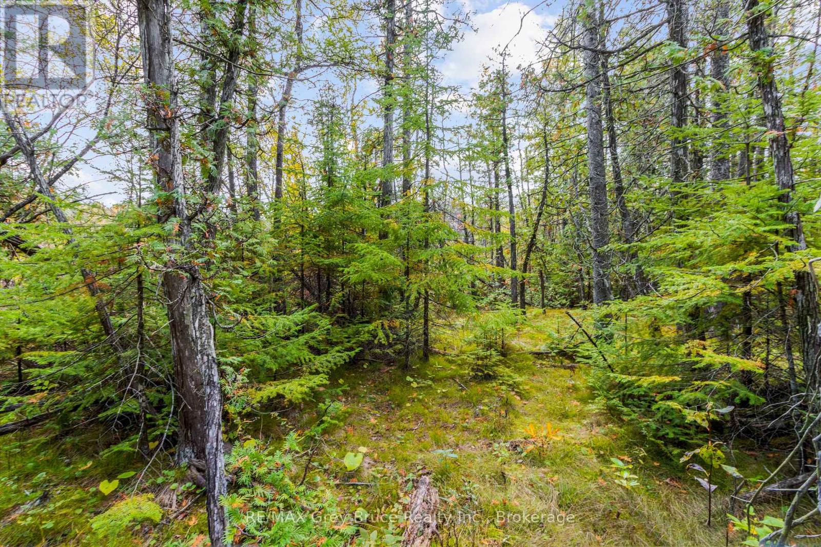 Fm Lt 4 Nicholas Street, Northern Bruce Peninsula, Ontario  N0H 2R0 - Photo 26 - X12806214