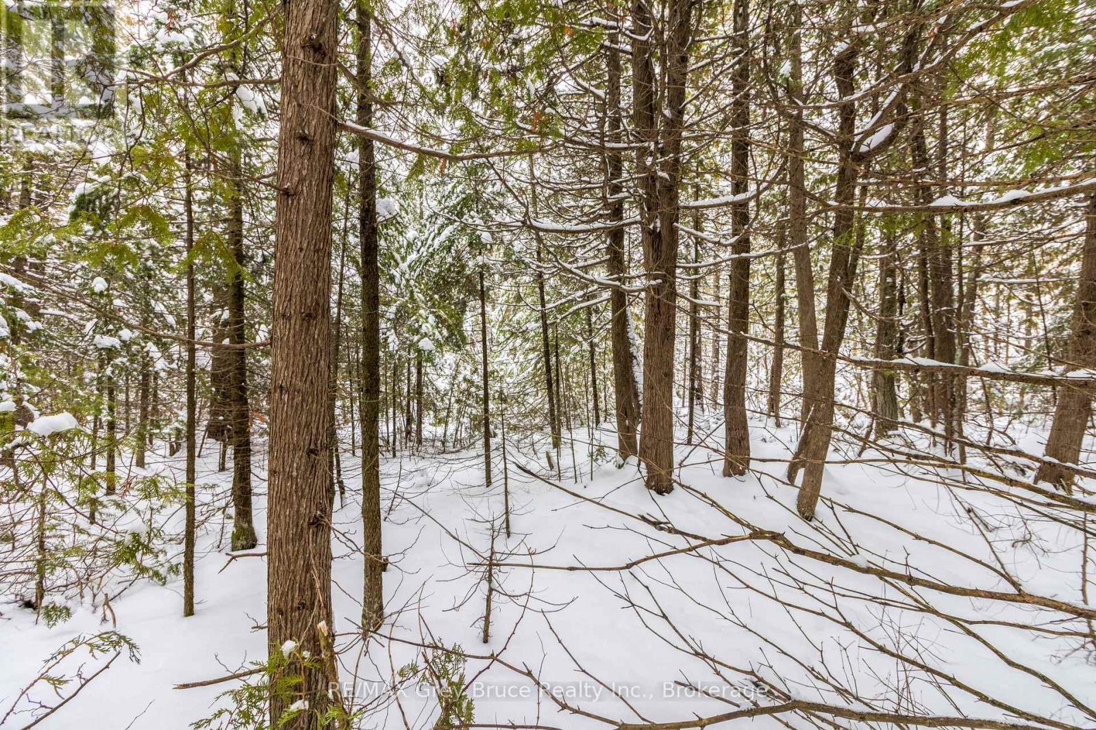 Fm Lt 4 Nicholas Street, Northern Bruce Peninsula, Ontario  N0H 2R0 - Photo 5 - X12806214