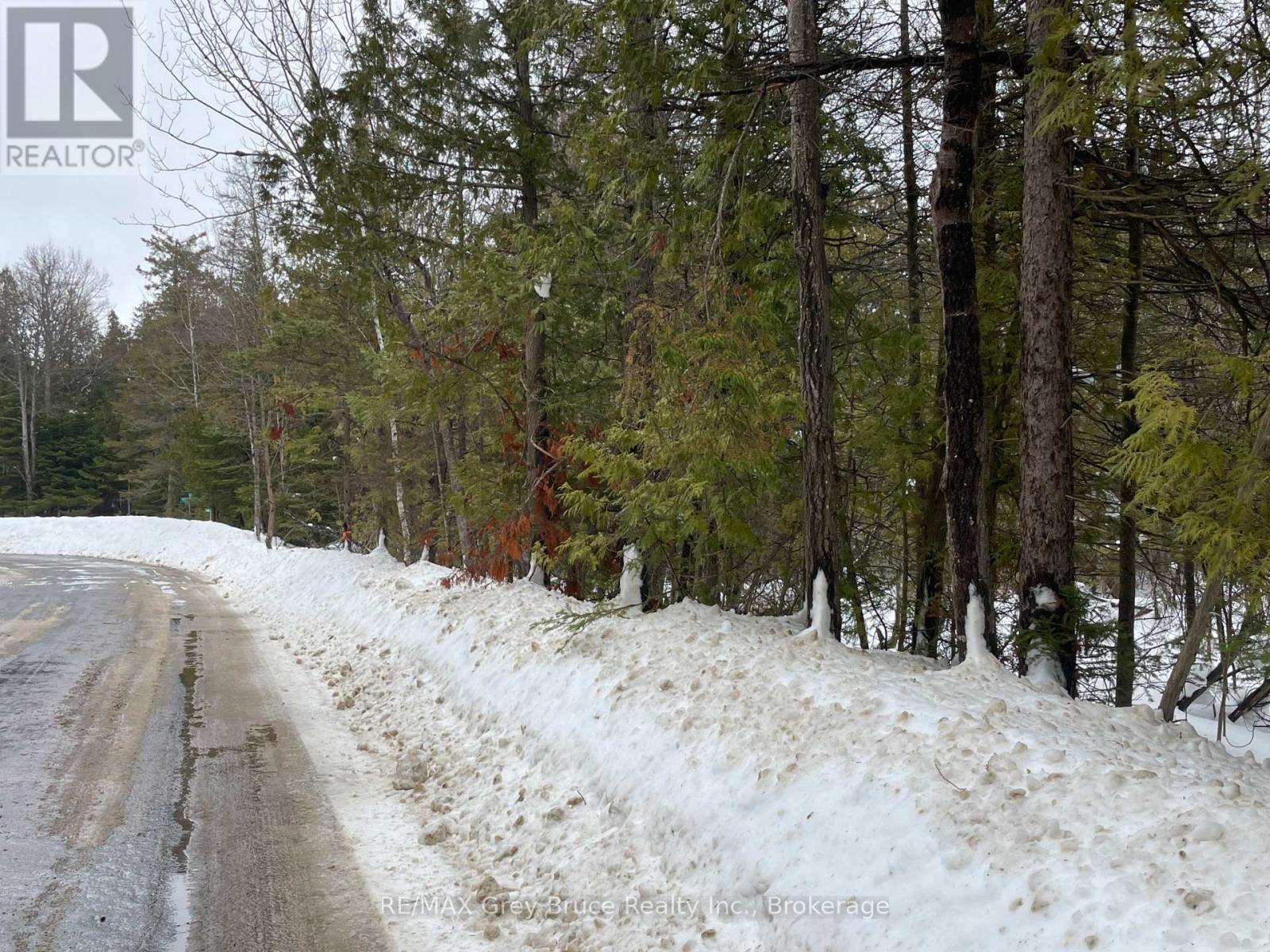 Pt Farm Lt 4 Nicholas Street, Northern Bruce Peninsula, Ontario  N0H 2R0 - Photo 10 - X12806248