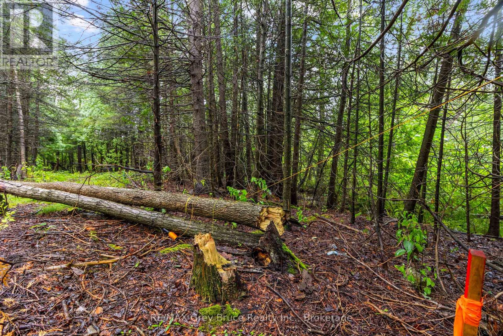 Pt Farm Lt 4 Nicholas Street, Northern Bruce Peninsula, Ontario  N0H 2R0 - Photo 20 - X12806248