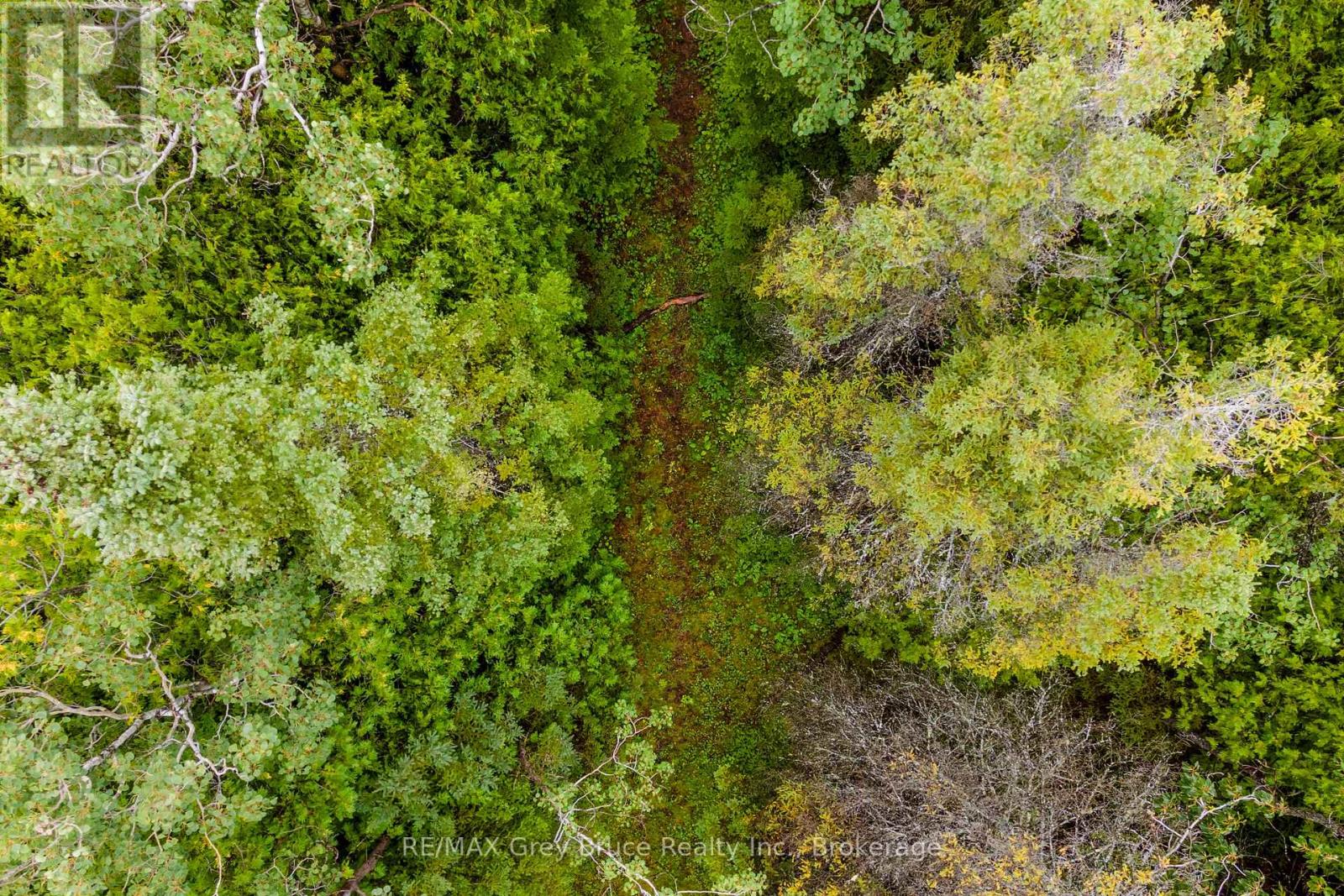 Pt Farm Lt 4 Nicholas Street, Northern Bruce Peninsula, Ontario  N0H 2R0 - Photo 22 - X12806248