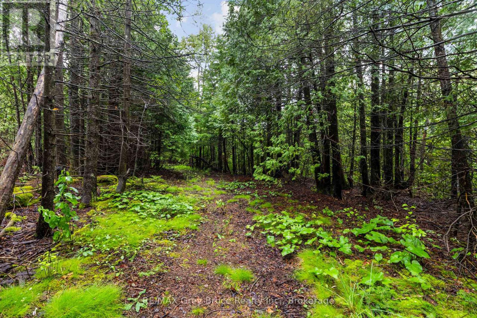 Pt Farm Lt 4 Nicholas Street, Northern Bruce Peninsula, Ontario  N0H 2R0 - Photo 24 - X12806248