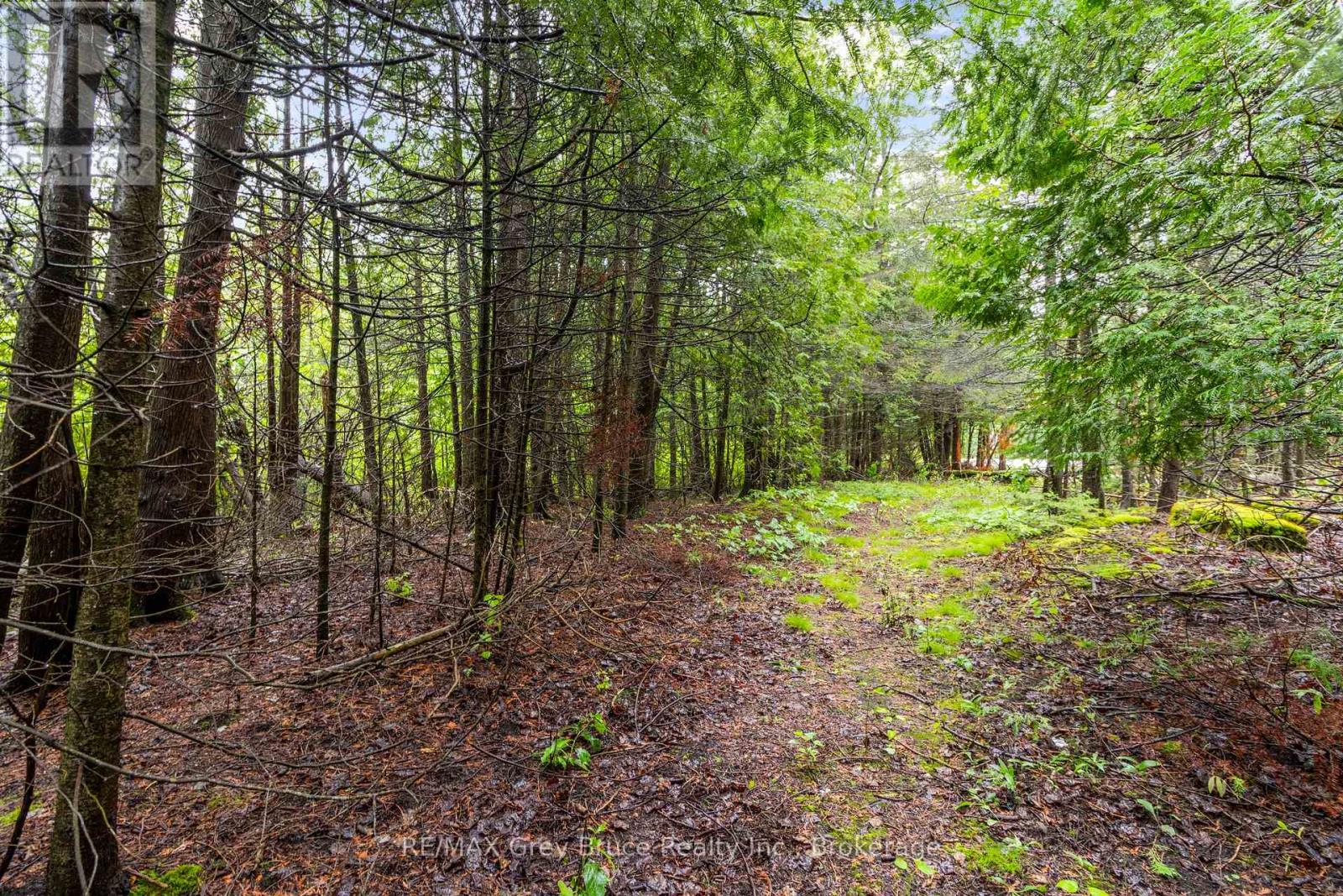 Pt Farm Lt 4 Nicholas Street, Northern Bruce Peninsula, Ontario  N0H 2R0 - Photo 25 - X12806248