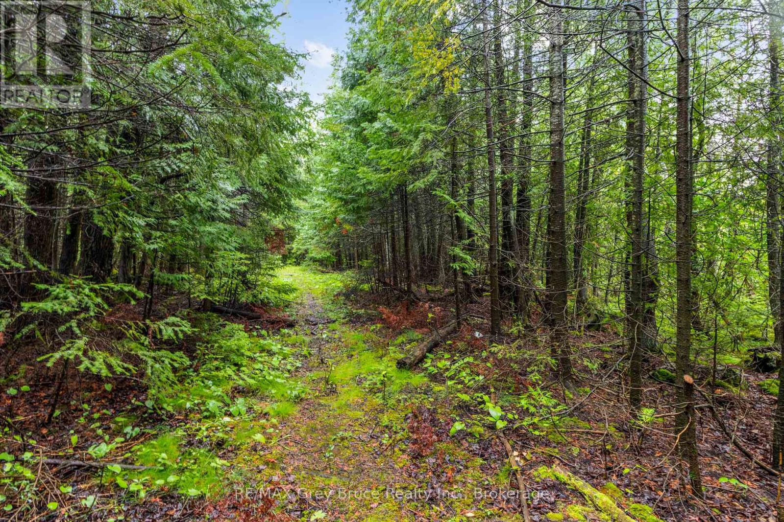 Pt Farm Lt 4 Nicholas Street, Northern Bruce Peninsula, Ontario  N0H 2R0 - Photo 26 - X12806248