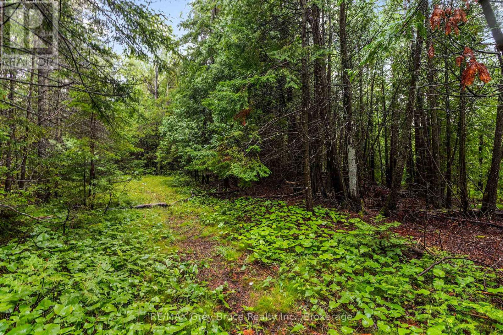 Pt Farm Lt 4 Nicholas Street, Northern Bruce Peninsula, Ontario  N0H 2R0 - Photo 27 - X12806248