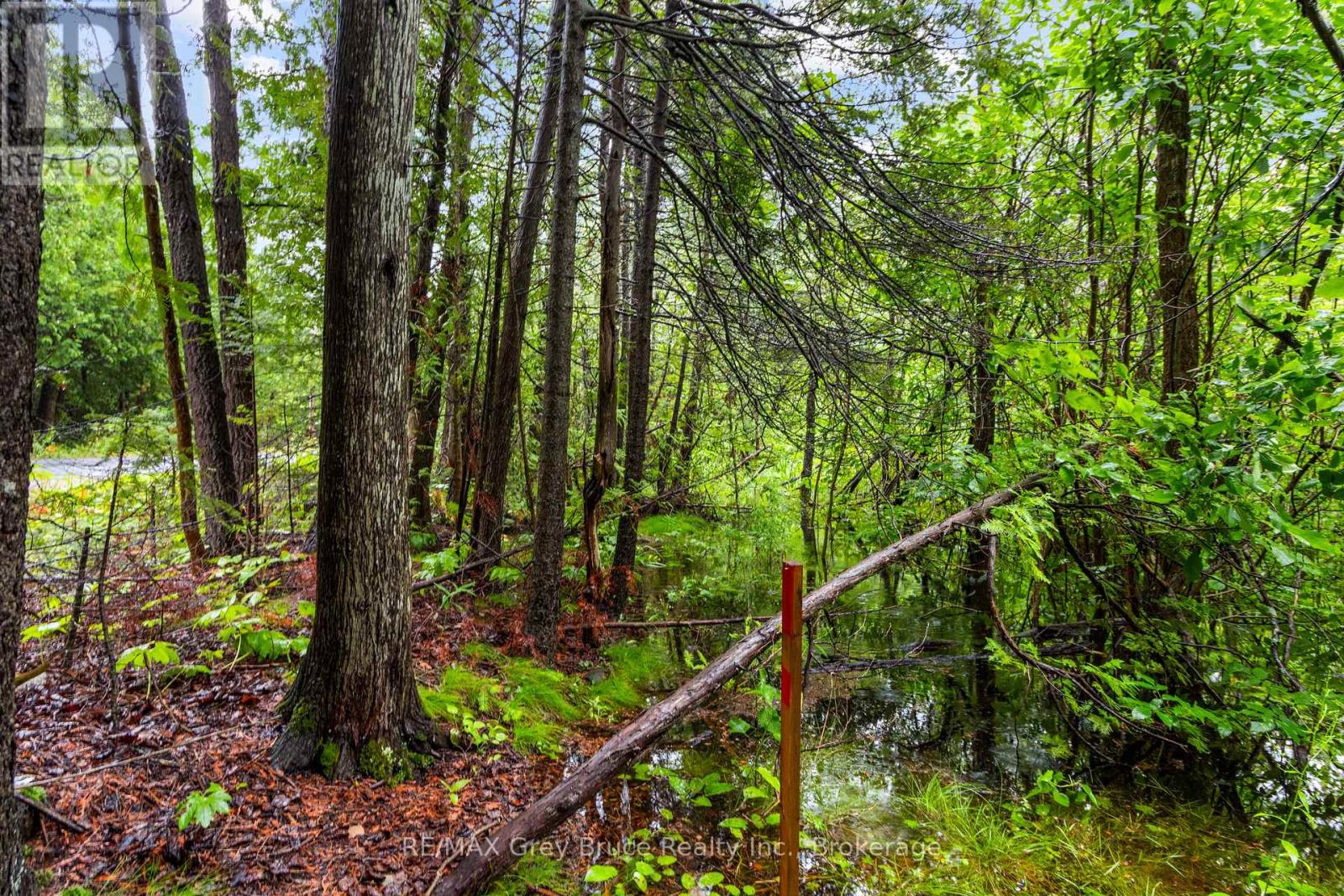 Pt Farm Lt 4 Nicholas Street, Northern Bruce Peninsula, Ontario  N0H 2R0 - Photo 29 - X12806248
