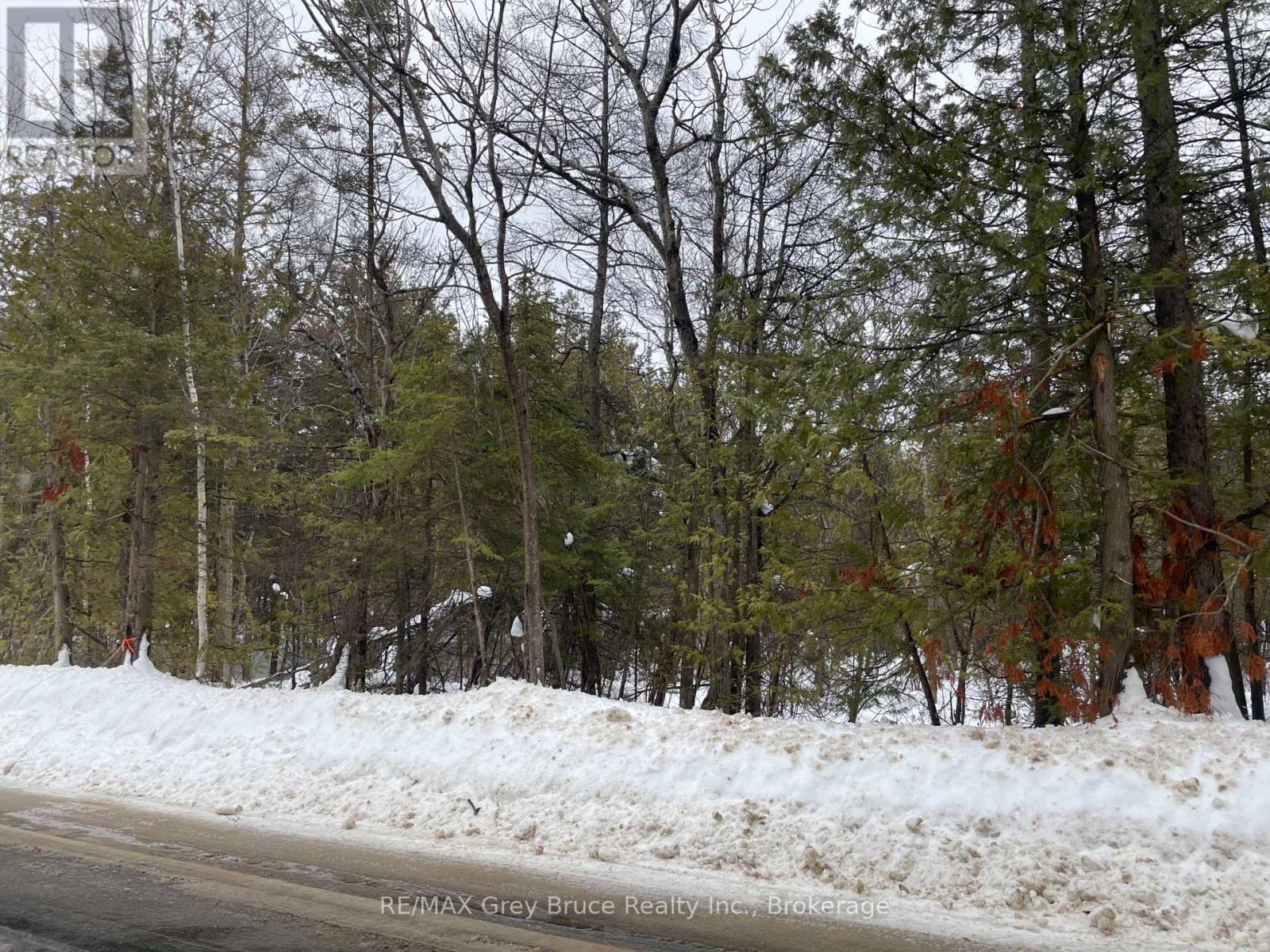 Pt Farm Lt 4 Nicholas Street, Northern Bruce Peninsula, Ontario  N0H 2R0 - Photo 3 - X12806248