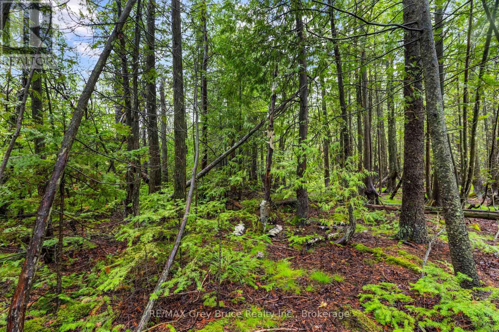 Pt Farm Lt 4 Nicholas Street, Northern Bruce Peninsula, Ontario  N0H 2R0 - Photo 33 - X12806248