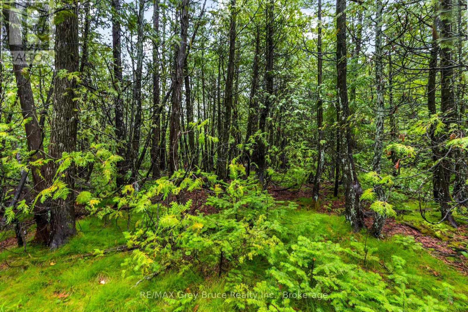 Pt Farm Lt 4 Nicholas Street, Northern Bruce Peninsula, Ontario  N0H 2R0 - Photo 35 - X12806248
