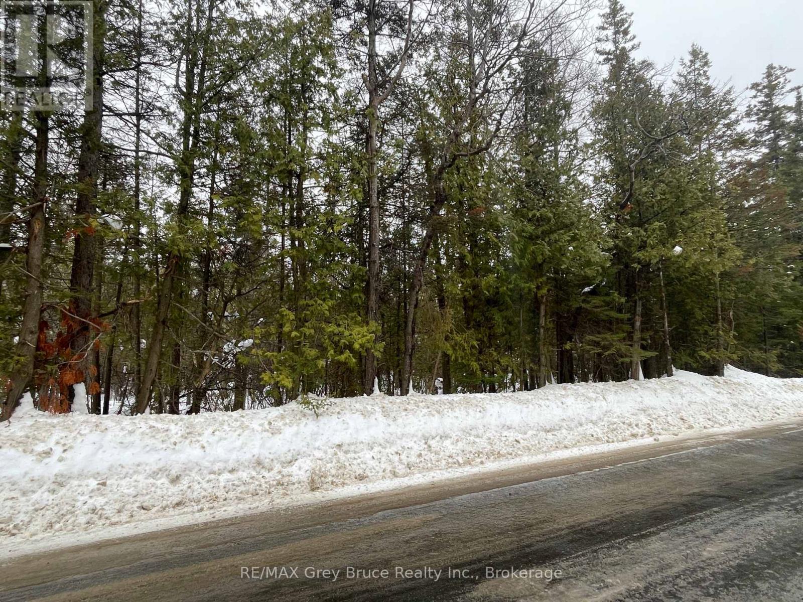 Pt Farm Lt 4 Nicholas Street, Northern Bruce Peninsula, Ontario  N0H 2R0 - Photo 5 - X12806248