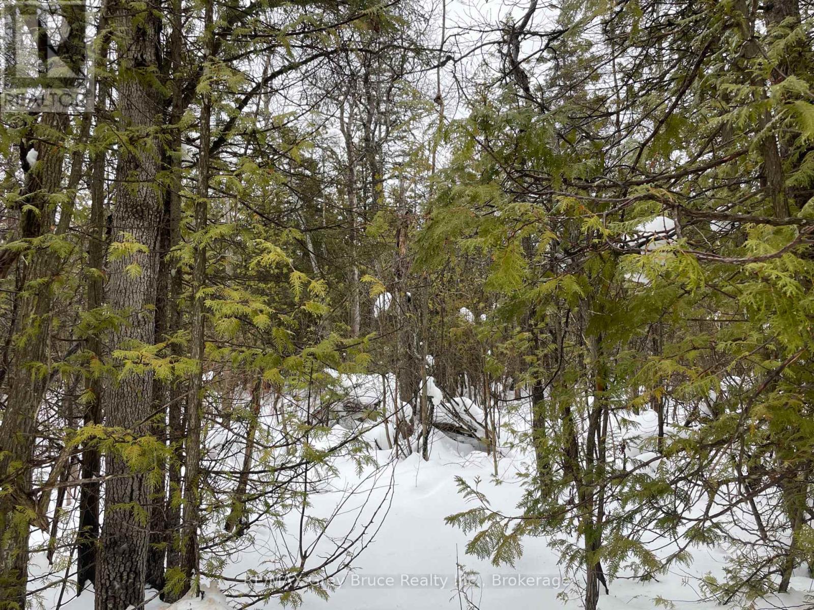 Pt Farm Lt 4 Nicholas Street, Northern Bruce Peninsula, Ontario  N0H 2R0 - Photo 6 - X12806248