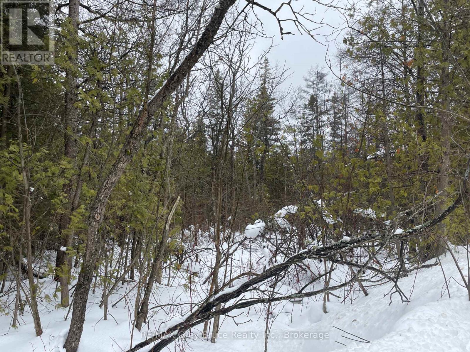 Pt Farm Lt 4 Nicholas Street, Northern Bruce Peninsula, Ontario  N0H 2R0 - Photo 7 - X12806248