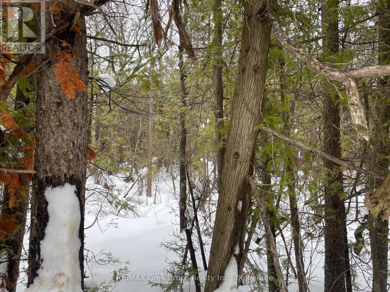 Pt Farm Lt 4 Nicholas Street, Northern Bruce Peninsula, Ontario  N0H 2R0 - Photo 9 - X12806248