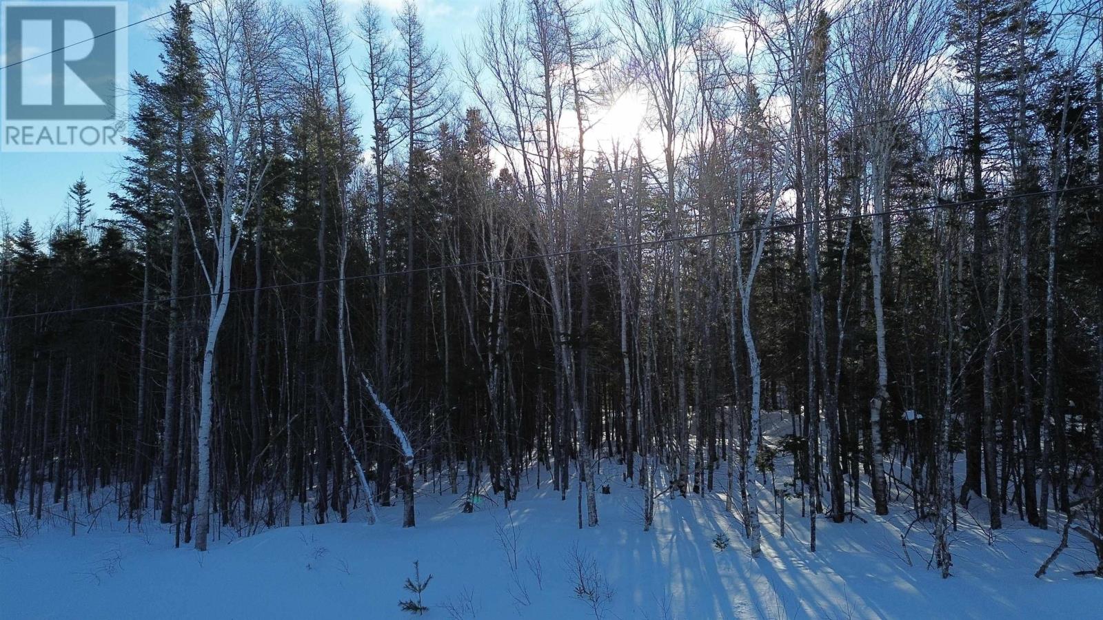 Lot 13 Lower River Road, Grantville, Nova Scotia  B0E 1J0 - Photo 12 - 202603137