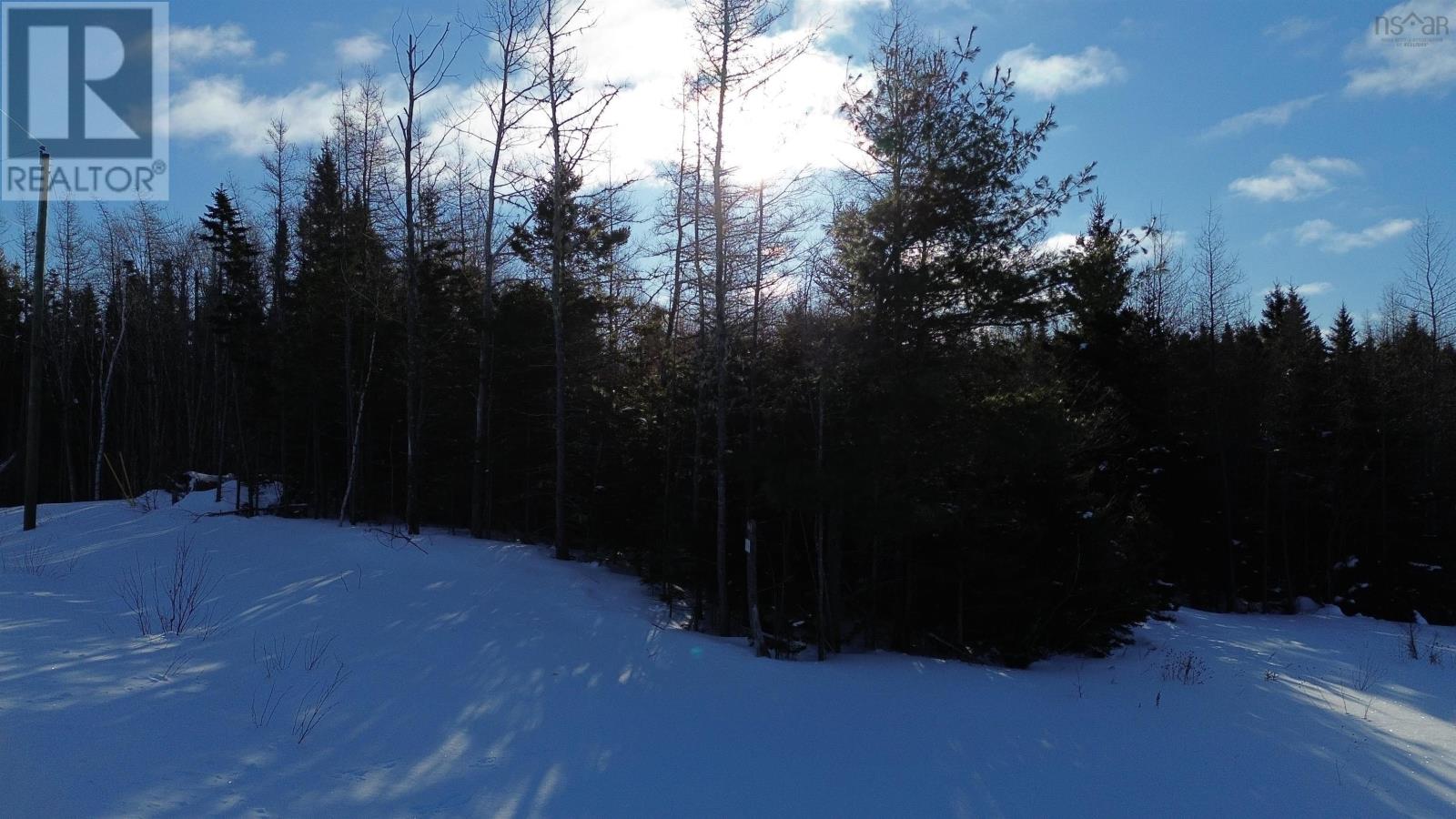 Lot 13 Lower River Road, Grantville, Nova Scotia  B0E 1J0 - Photo 8 - 202603137